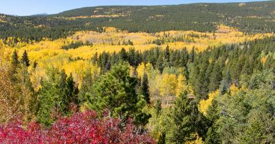Discover the Best Things to Do in Colorado in Fall 2024