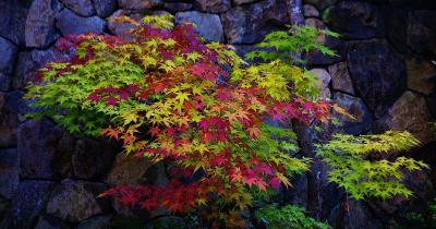 Things to Do and Activities in Oregon in Fall 2024