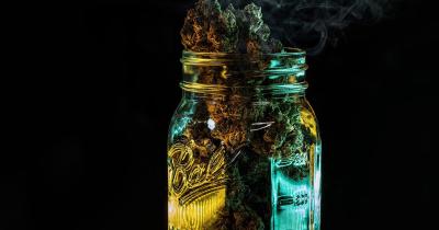 Best Cannabis Strains for Valentine’s Day: Set the Perfect Mood