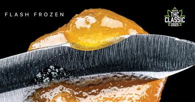 Award-Winning Extracts from Wavelength: Powered by Silver Stem Flower