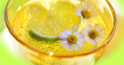 Post-420 Cleanse: How to Reset After the Holiday