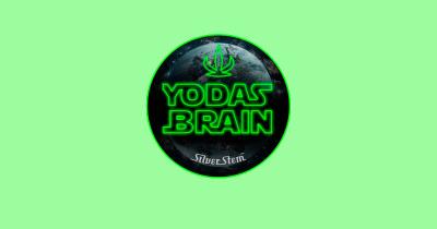 Yoda’s Brain Strain: A Cerebral High Worth Meditating On