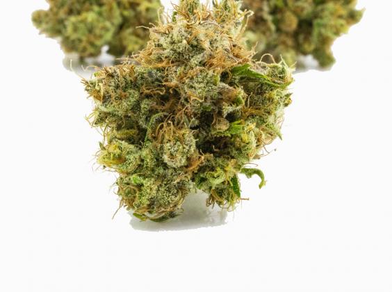 Dutch Treat Haze | Sativa