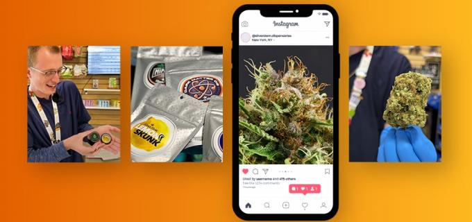 cannabis