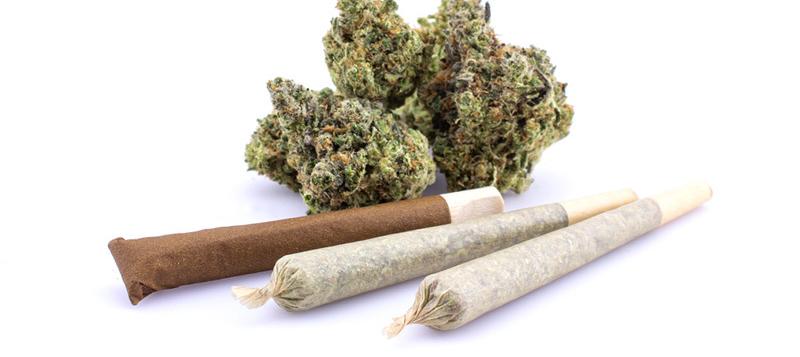 Joints Vs Blunts Vs Spliffs: What's The Difference?