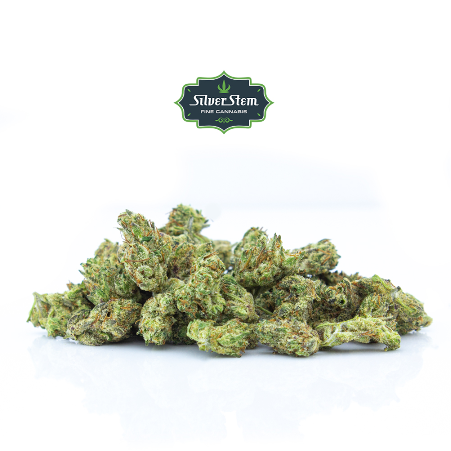 Pochons S « In Weed We Trust » – Natural Mystic